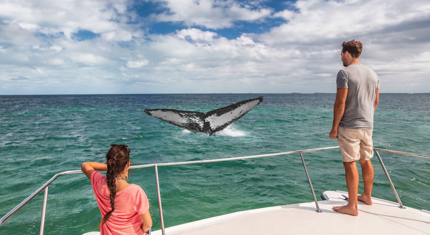 Pareja en una excursión para avistar ballenas en Cabo en primavera.
