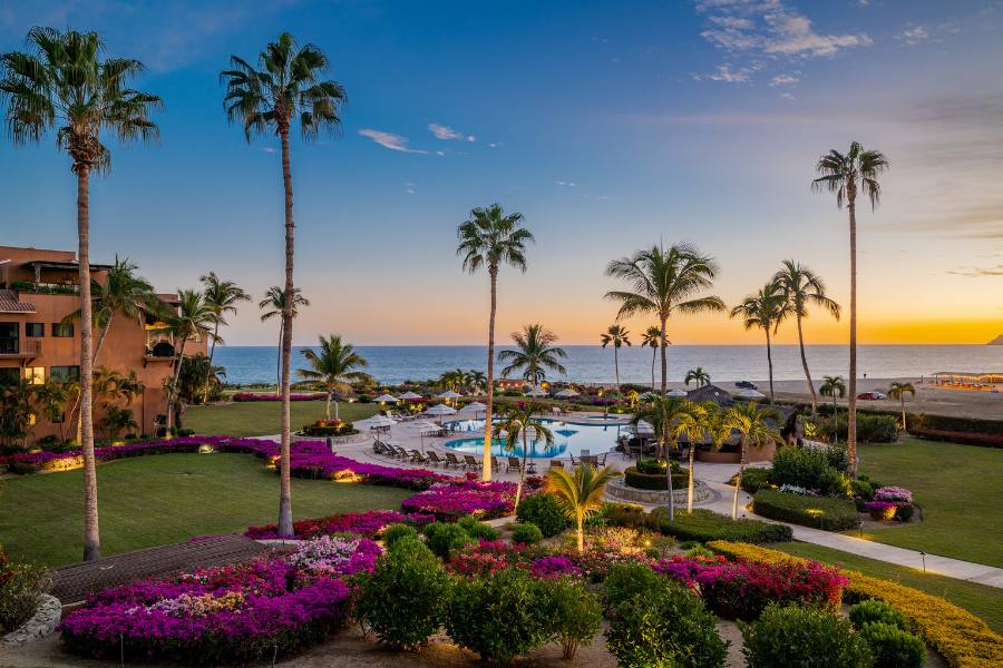 Scenic palm trees and pond in CABO